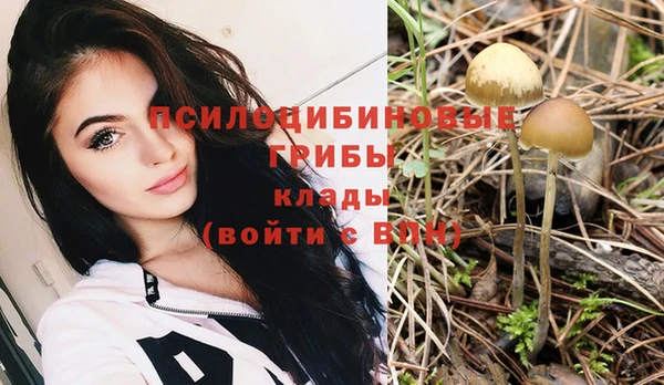 apvp Нефтегорск