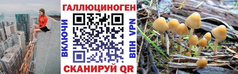 Псилоцибиновые грибы прущие грибы Наро-Фоминск