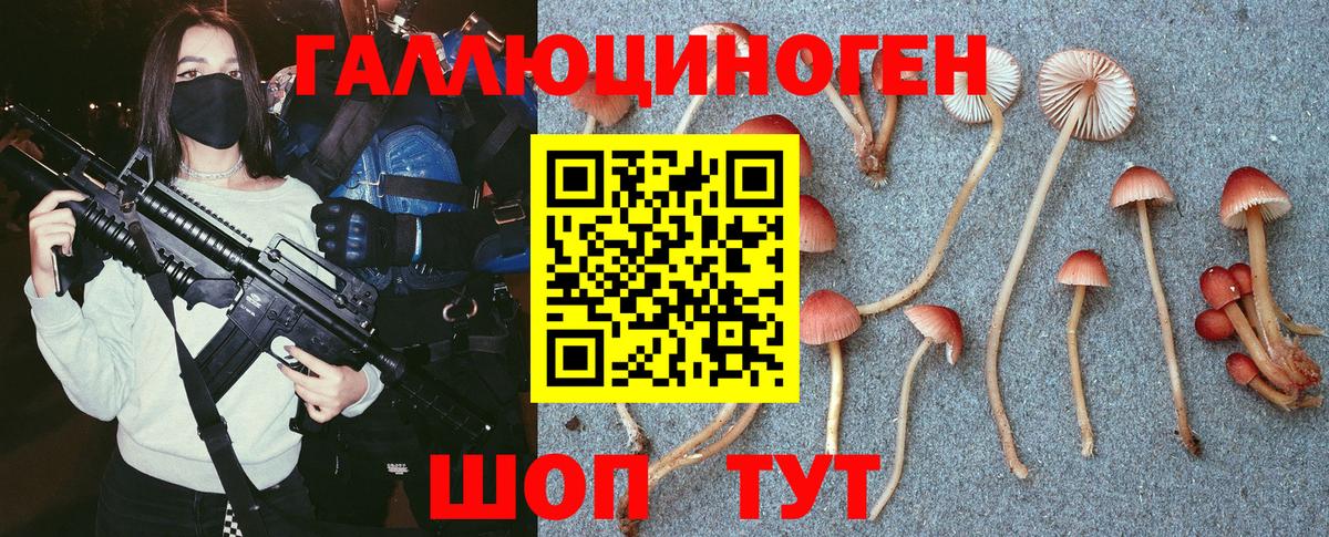 Галлюциногенные грибы GOLDEN TEACHER  Вход с VPN  Псилоцибиновые грибы GOLDEN TEACHER  Наро-Фоминск 