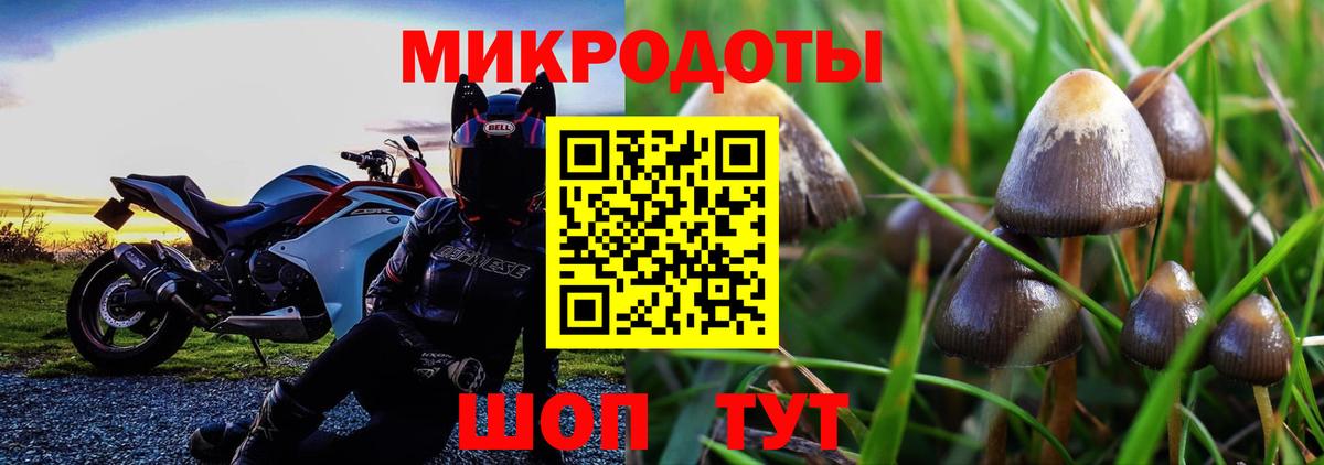 Псилоцибиновые грибы Cubensis Наро-Фоминск